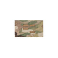 Ferro Concepts ICON Patch